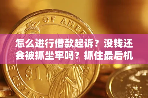 济南怎么进行借款起诉？没钱还会被抓坐牢吗？抓住最后机会！