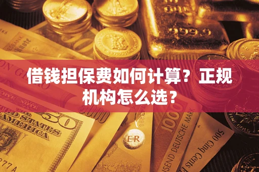 济南借钱担保费如何计算？正规机构怎么选？