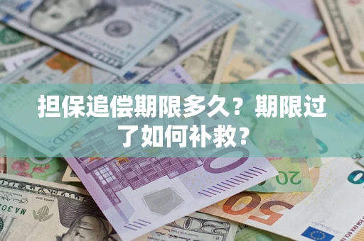 济南担保追偿期限多久？期限过了如何补救？
